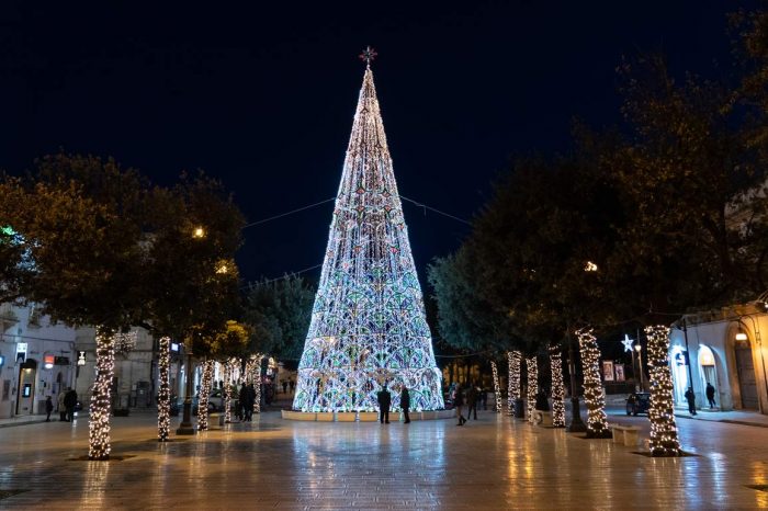 albero-piazza