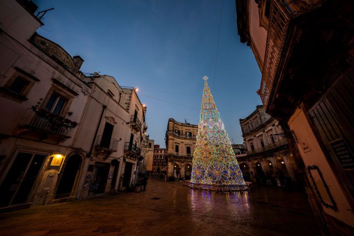 albero-piazza