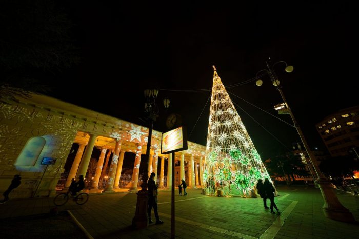 piazza-albero-verde